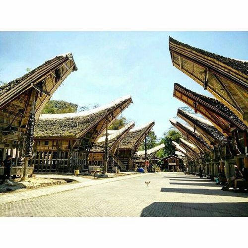 Detail Rumah Adat Toraja Berasal Dari Nomer 55