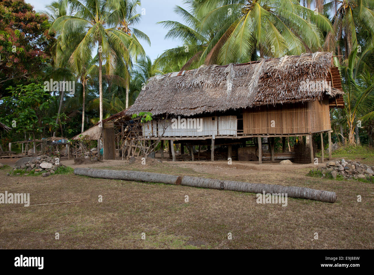 Detail Rumah Adat Tsyem Nomer 12