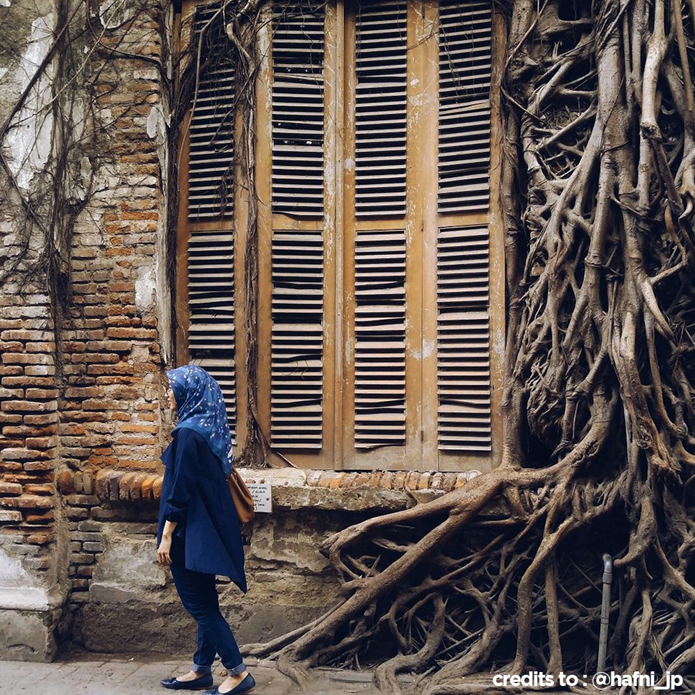 Detail Rumah Akar Kota Tua Nomer 37