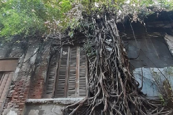 Detail Rumah Akar Kota Tua Jakarta Nomer 28