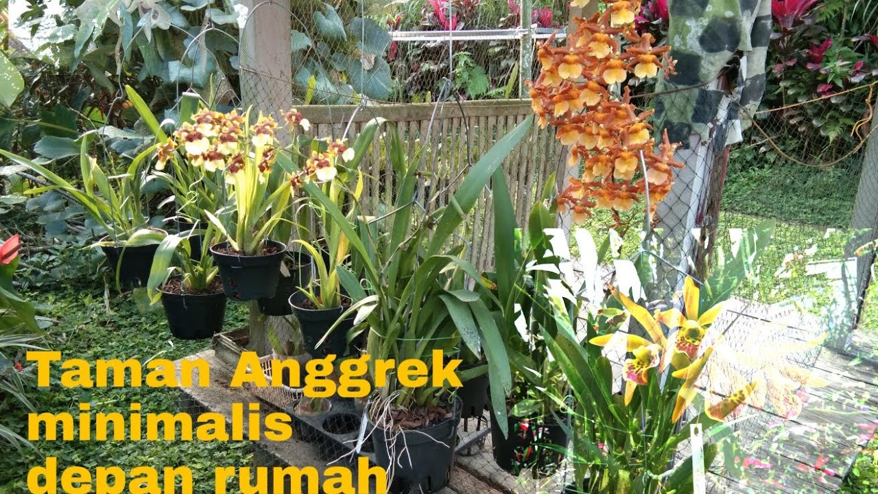 Detail Rumah Anggrek Sederhana Nomer 10