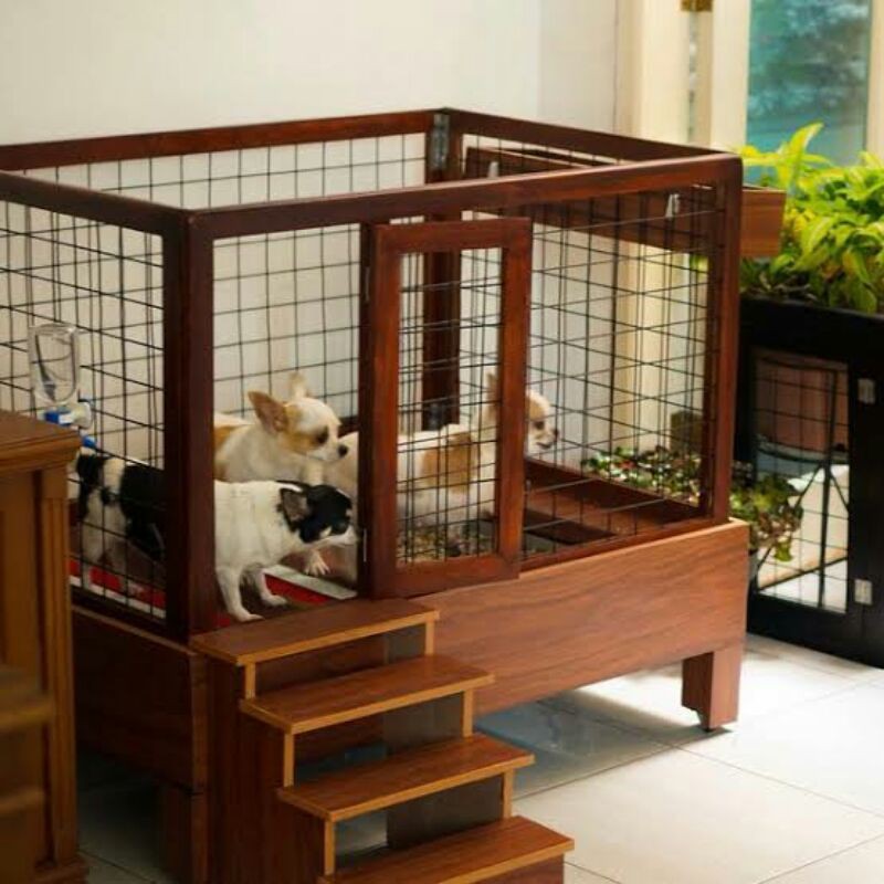 Detail Rumah Anjing Dari Kayu Nomer 42