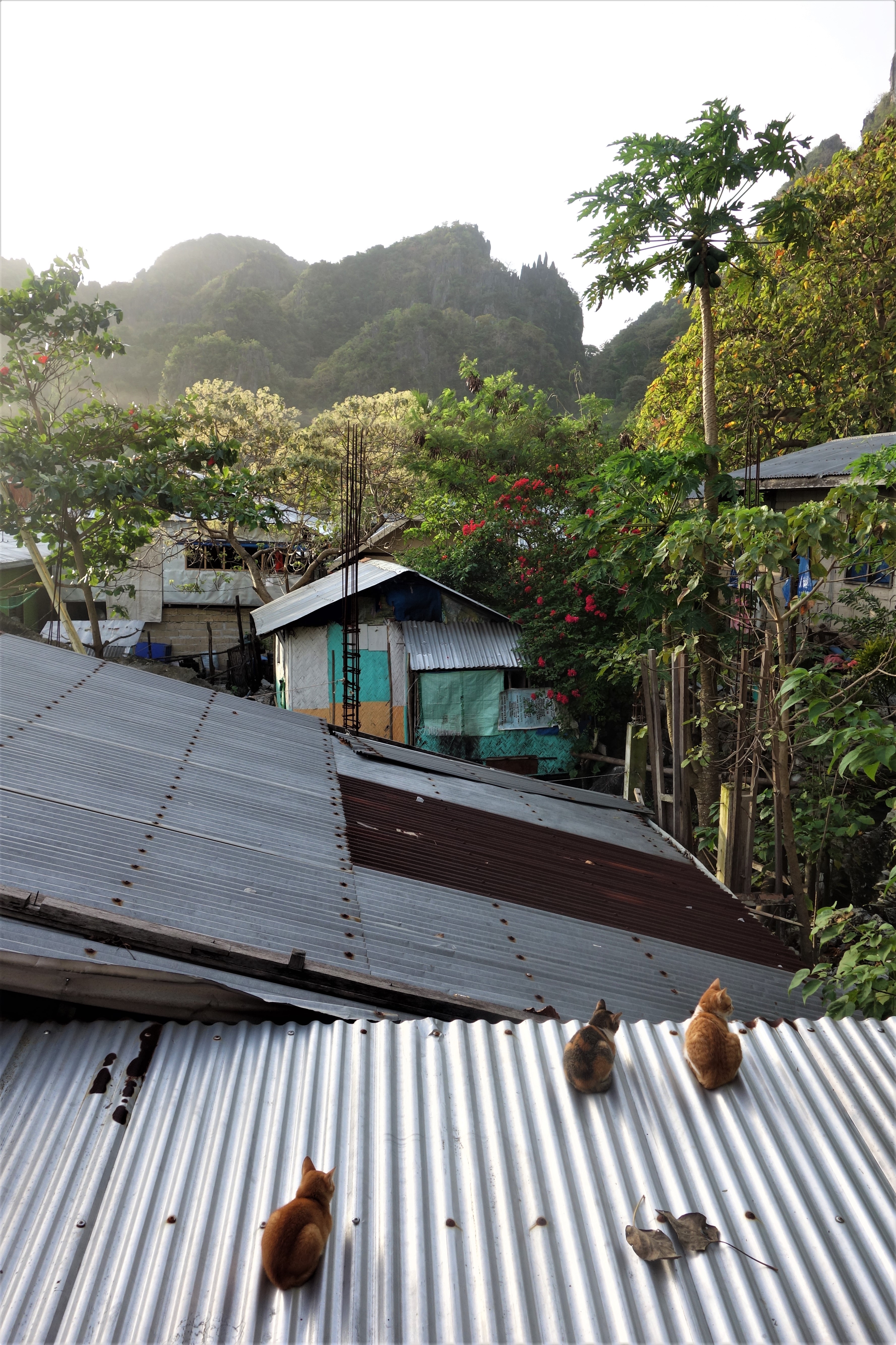 Detail Rumah Atap Asbes Gelombang Besar Nomer 52