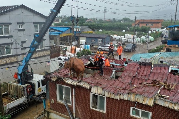 Detail Rumah Atap Di Korea Nomer 20