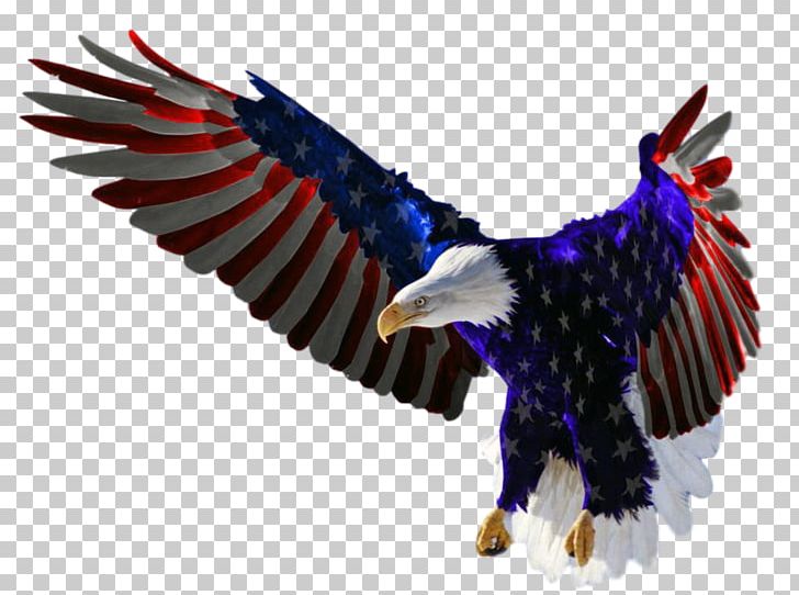 Detail Usa Eagle Png Nomer 10