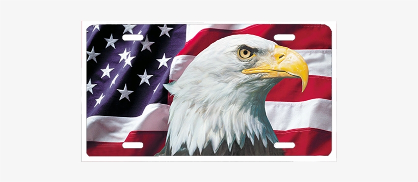 Detail Usa Eagle Png Nomer 47