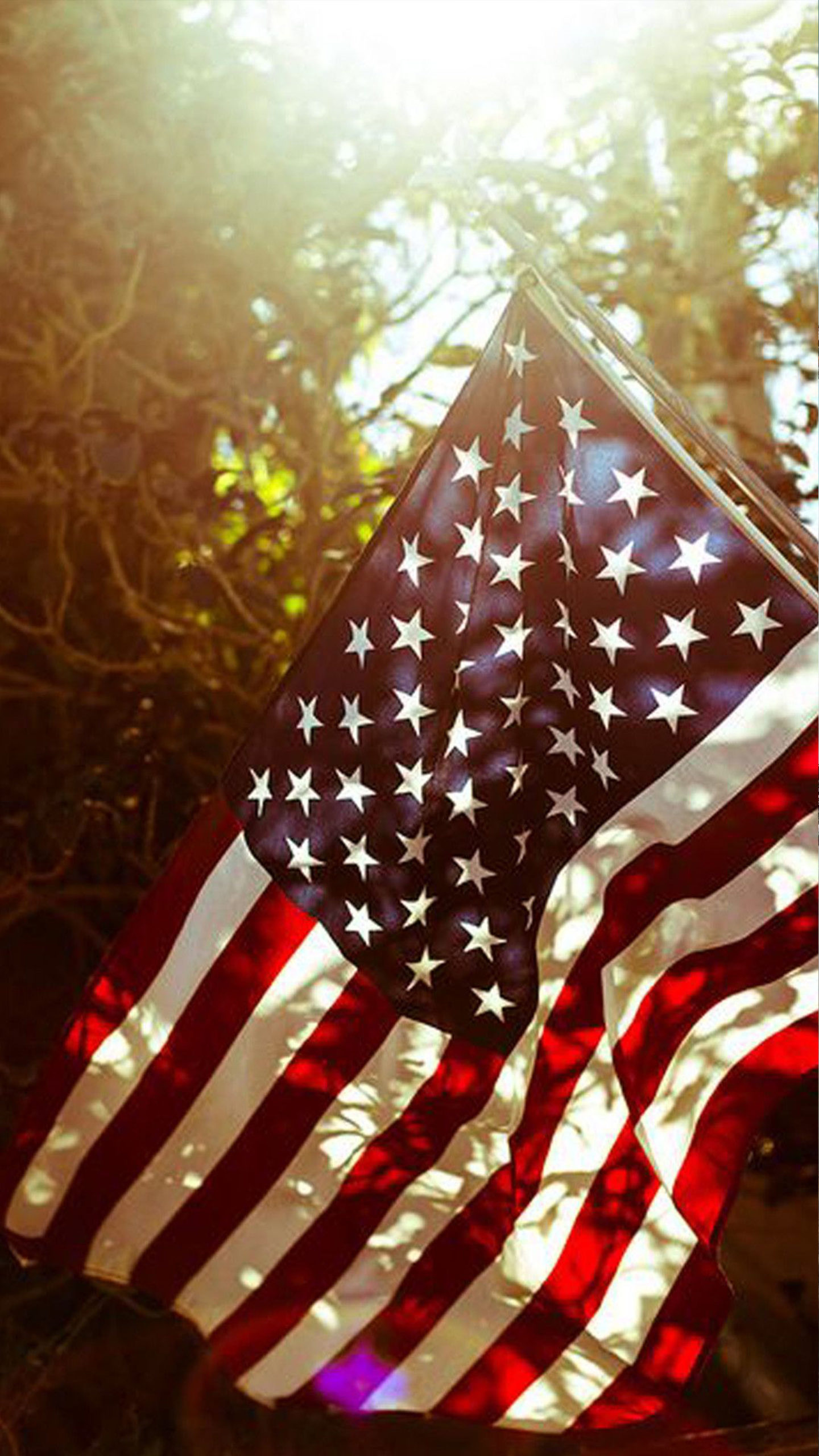 Detail Usa Flag Wallpaper Nomer 27