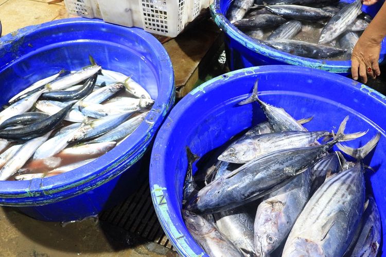 Detail Usaha Jual Ikan Segar Keliling Nomer 20