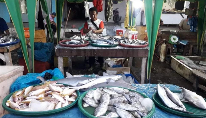 Detail Usaha Jual Ikan Segar Keliling Nomer 46