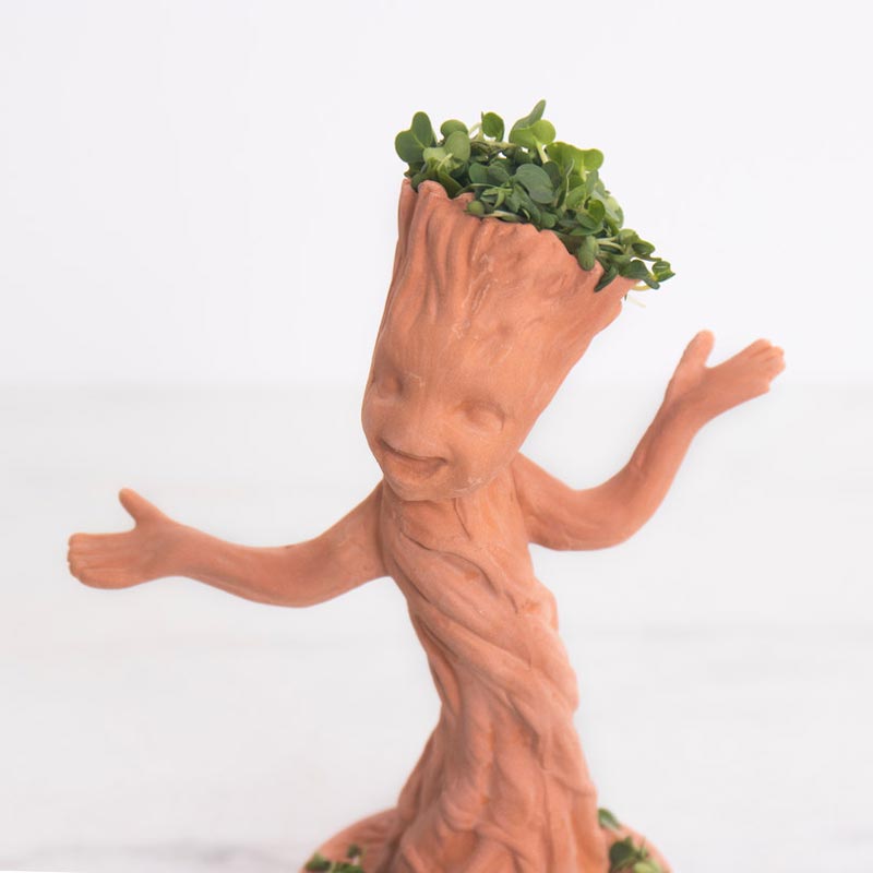 Detail Usb Dancing Groot Nomer 45