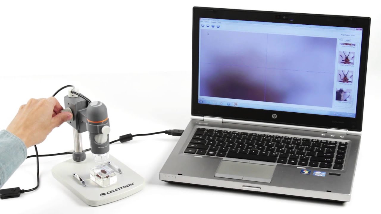 Usb Microscope For Coins - KibrisPDR