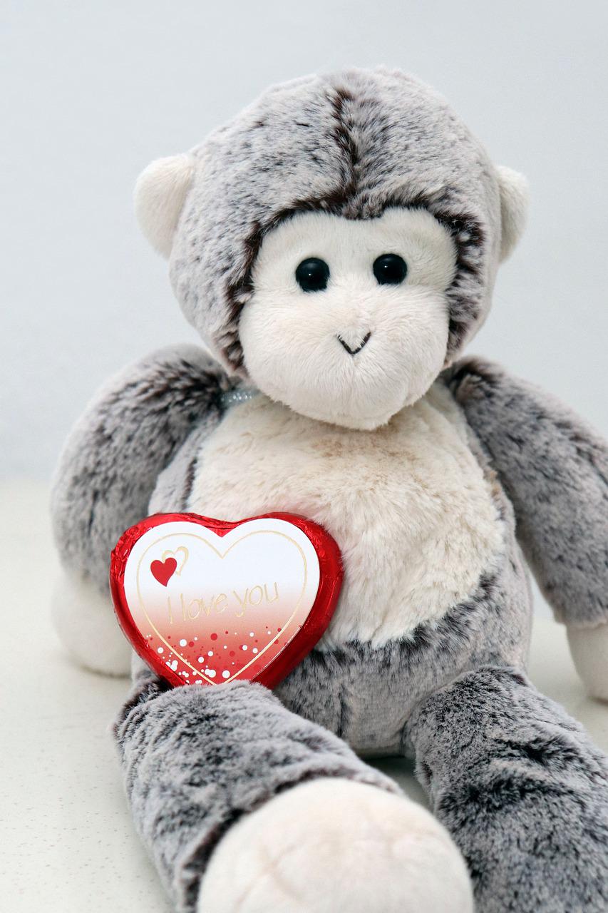 Detail Valentines Monkey Teddy Nomer 39