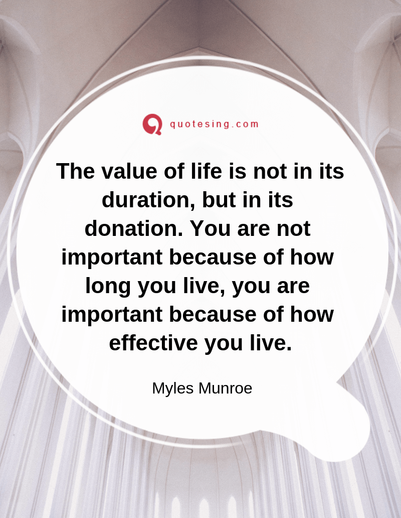 Detail Value Of Life Quotes Nomer 19
