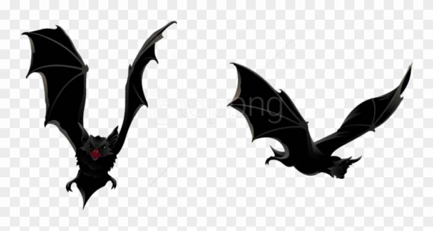 Detail Vampire Bat Png Nomer 31