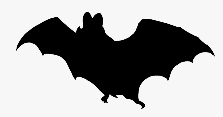 Detail Vampire Bat Png Nomer 39