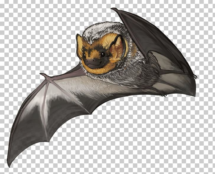 Detail Vampire Bat Png Nomer 45