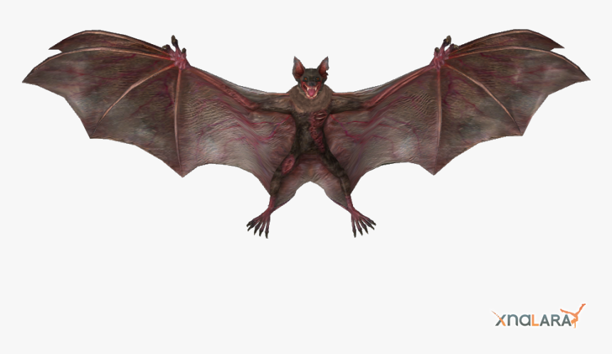 Detail Vampire Bat Png Nomer 6