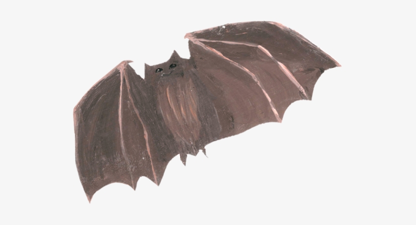 Detail Vampire Bat Png Nomer 55