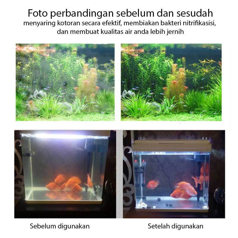 Detail Rumah Bakteri Aquarium Nomer 41