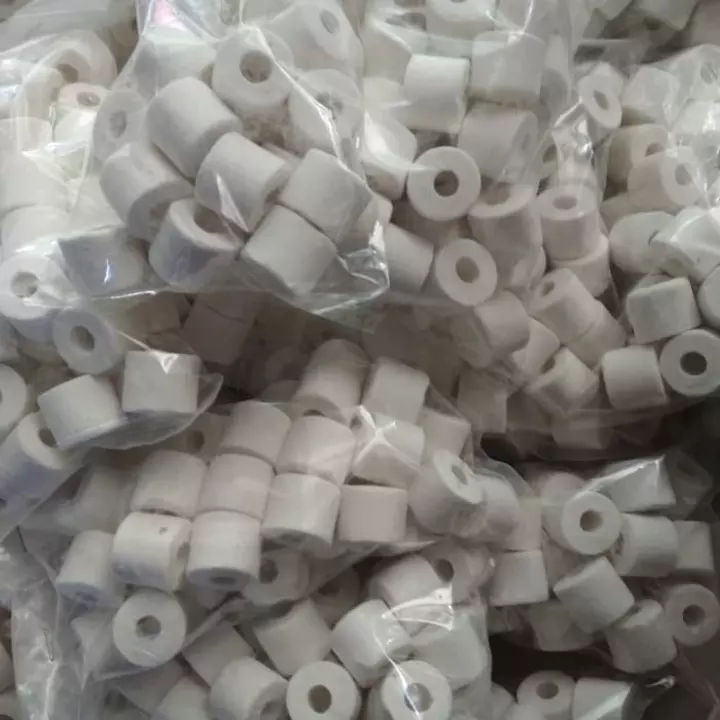 Detail Rumah Bakteri Filter Nomer 14
