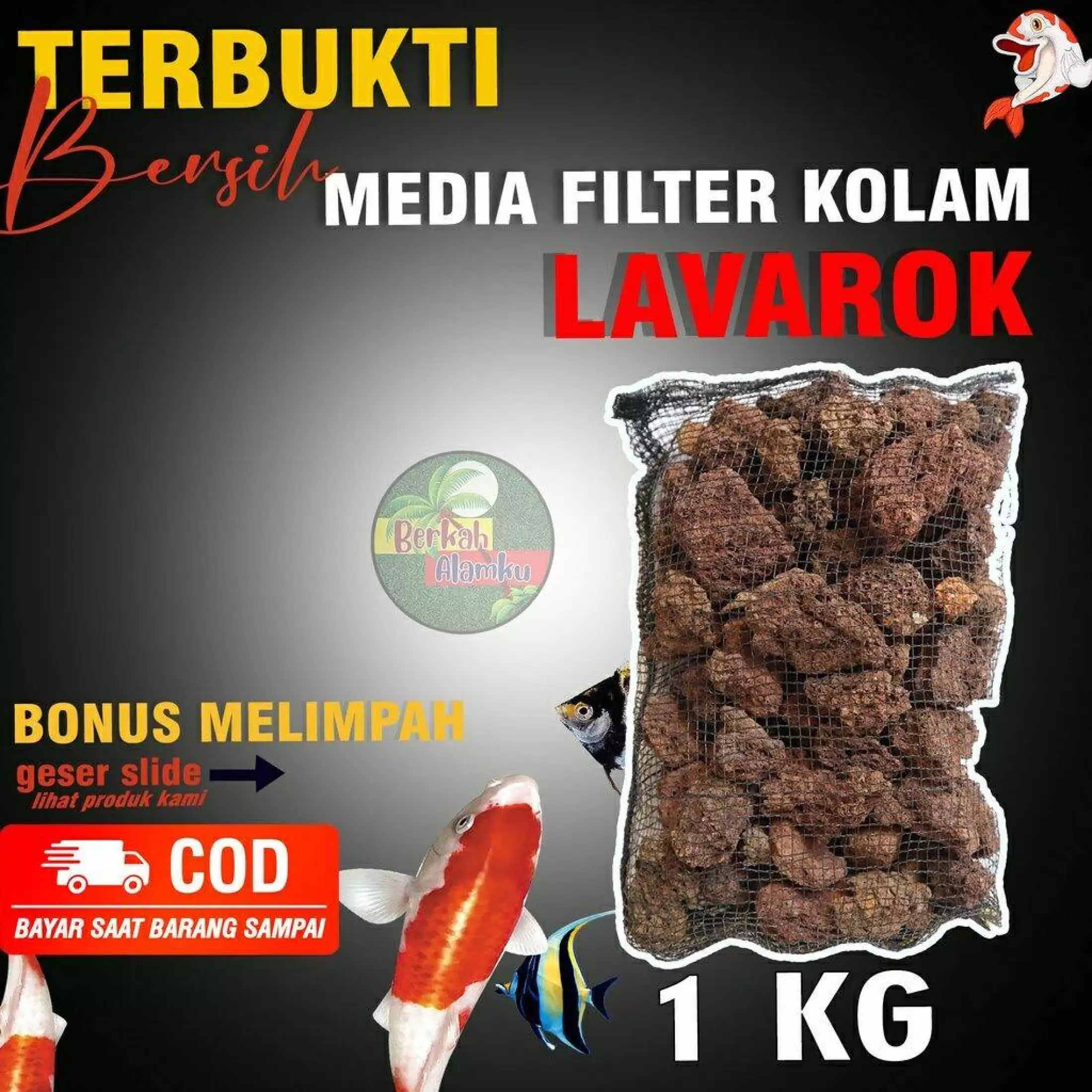Detail Rumah Bakteri Filter Nomer 44