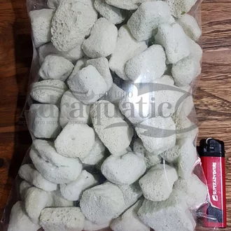 Detail Rumah Bakteri Filter Nomer 9