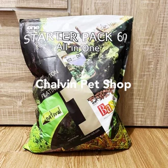 Detail Rumah Bakteri Starter Nomer 46
