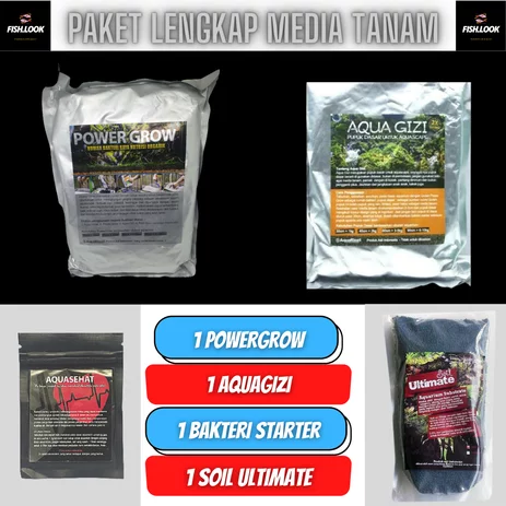 Detail Rumah Bakteri Starter Nomer 49