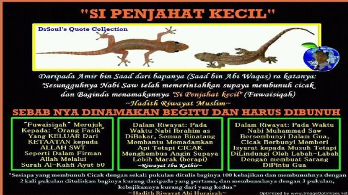 Rumah Banyak Cicak - KibrisPDR