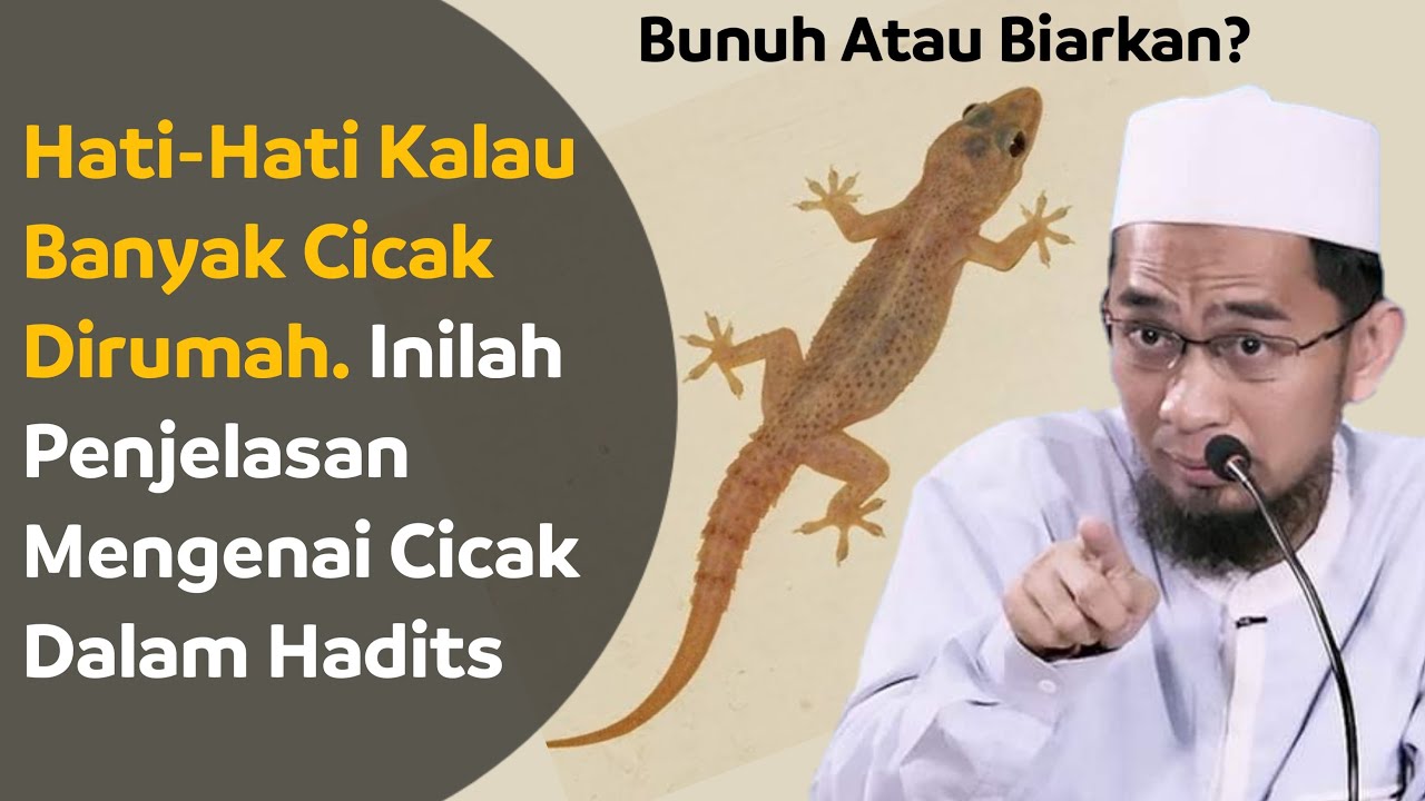 Detail Rumah Banyak Cicak Nomer 16