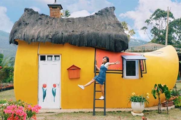 Detail Rumah Belanda Lembang Nomer 10