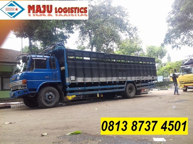 Detail Variasi Bak Truk Lampung Nomer 41