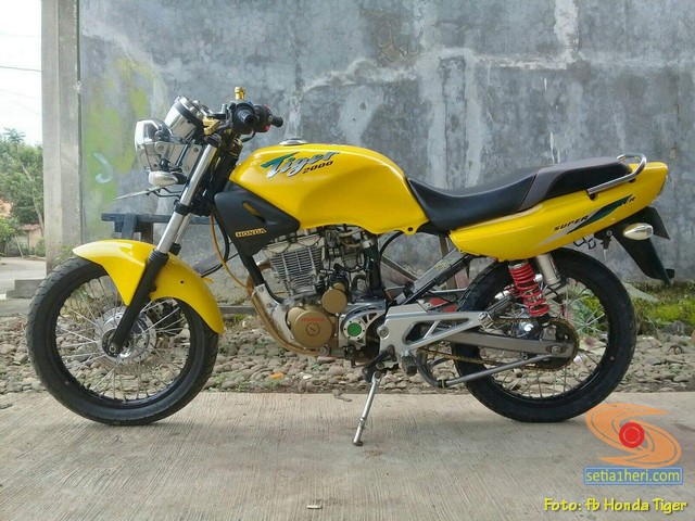 Detail Variasi Tiger 2000 Nomer 12