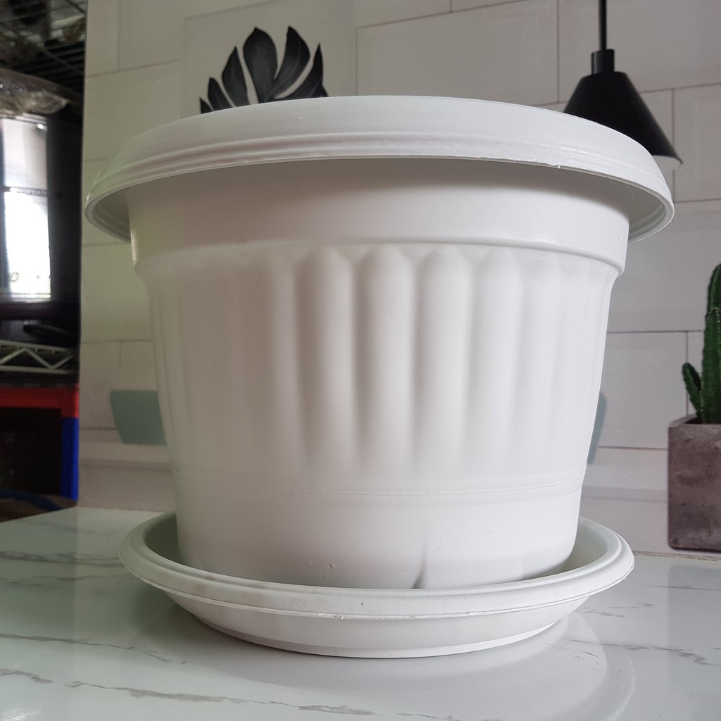 Detail Variasi Warna Pot Bunga Nomer 52