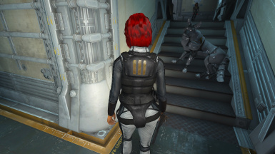 Detail Vault 101 Security Armor Nomer 35