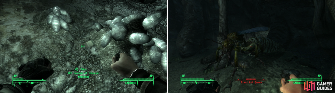 Detail Vault 106 In Fallout 3 Nomer 44