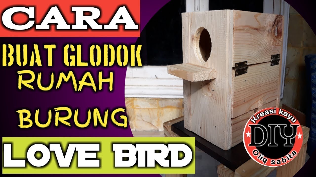 Detail Rumah Burung Lovebird Nomer 42