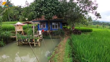 Detail Rumah Dekat Sawah Nomer 15