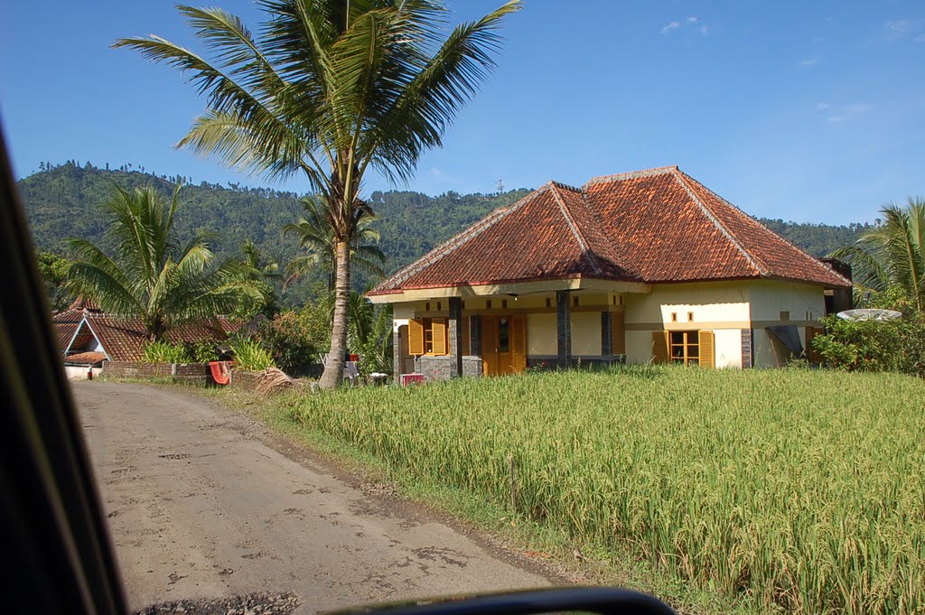 Detail Rumah Dekat Sawah Nomer 31