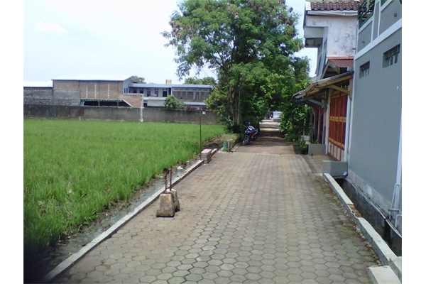 Detail Rumah Dekat Sawah Nomer 39