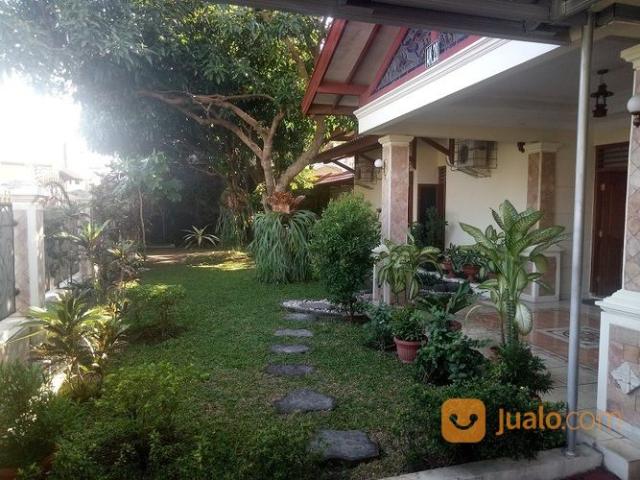 Detail Rumah Dengan Halaman Luas Di Yogyakarta Nomer 10