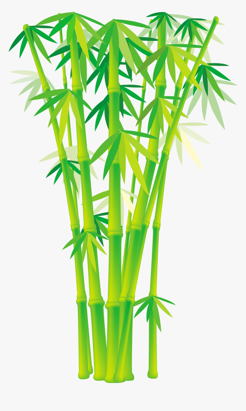 Detail Vector Bambu Png Nomer 5