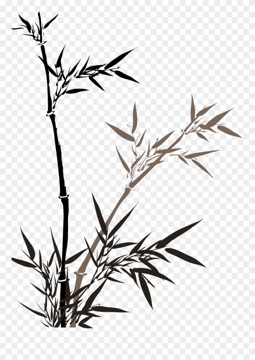 Detail Vector Bambu Png Nomer 46