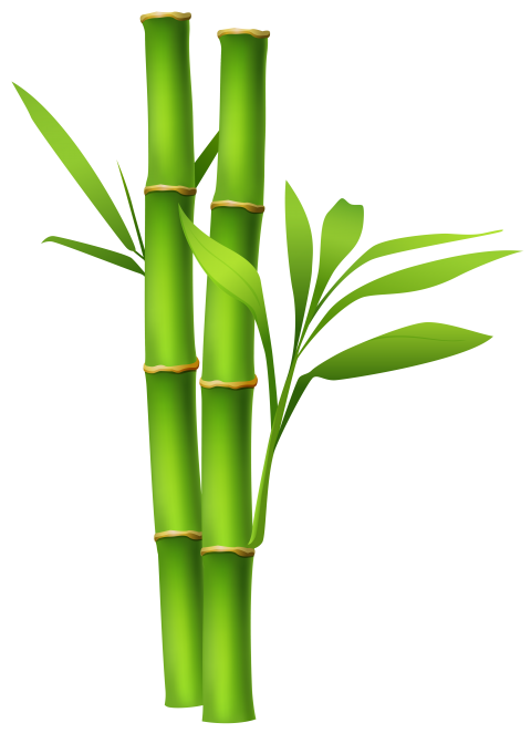 Detail Vector Bambu Png Nomer 8