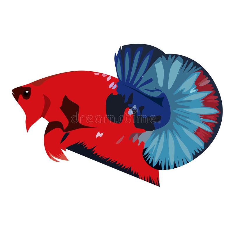 Detail Vector Betta Fish Logo Design Nomer 45