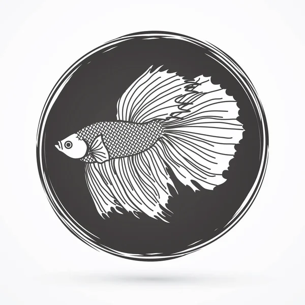 Detail Vector Betta Fish Logo Design Nomer 53