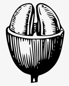 Detail Vector Biji Kopi Nomer 32