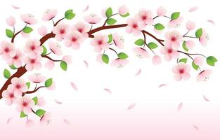 Vector Bunga Sakura - KibrisPDR