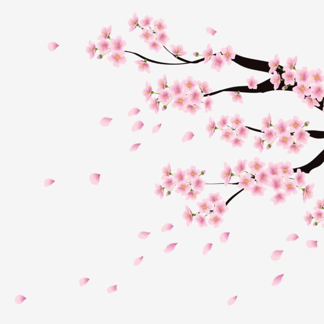 Detail Vector Bunga Sakura Nomer 11