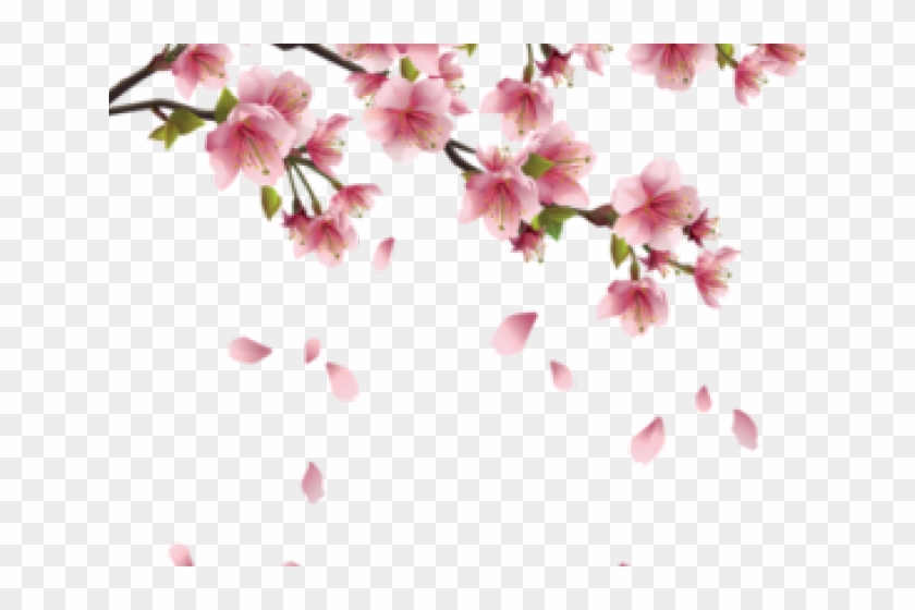 Detail Vector Bunga Sakura Nomer 28